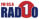 radion 1